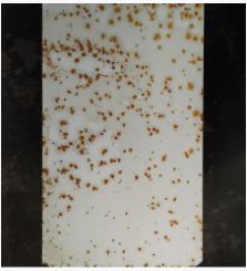 Ϳ÷WPЩNοƌWʹã Ϳھ,coatingol.com